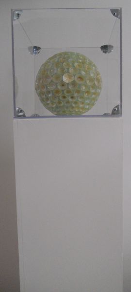 MW 31 (Normale Auflösung)